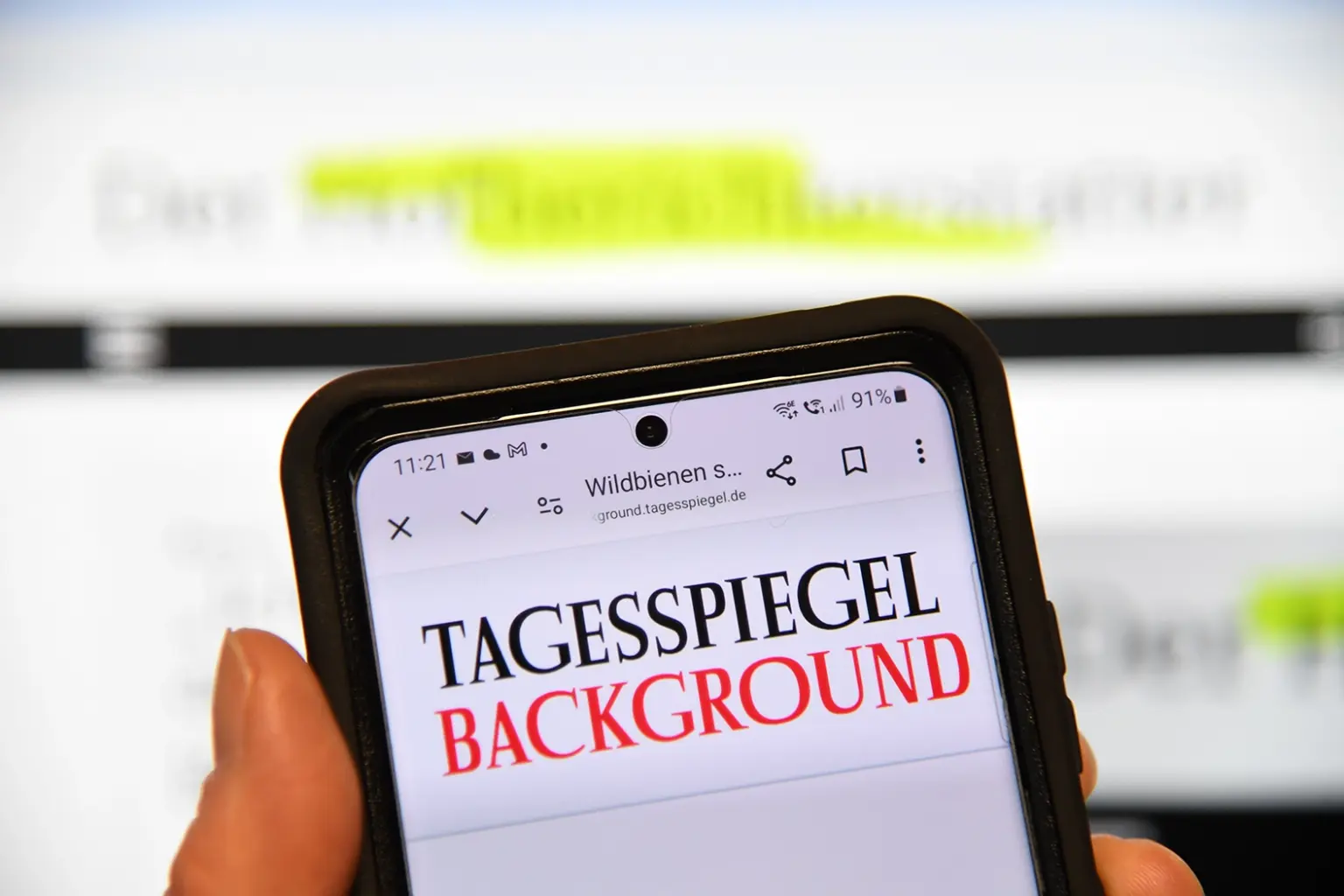 Der Hofberichterstatter Pressespiegel Tagesspiegel Background